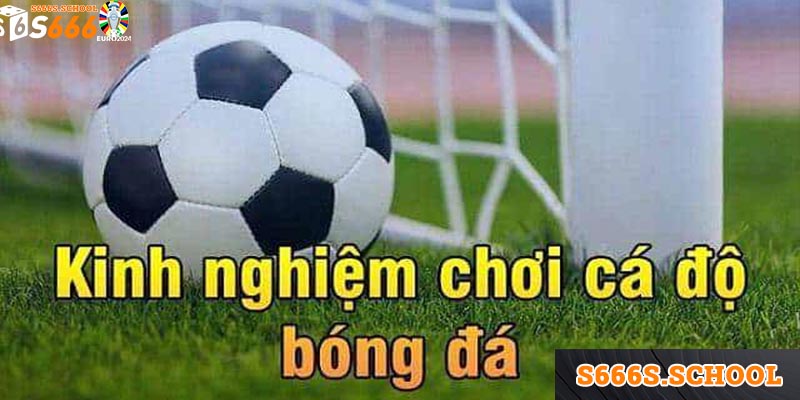 Những kinh nghiệm chơi kèo Bundesliga chuẩn cao thủ