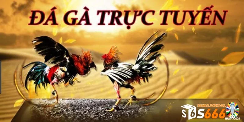 Giới thiệu hình thức đá gà trực tuyến hấp dẫn